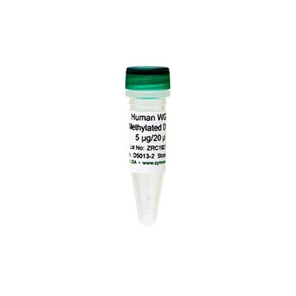 Human WGA Methylated DNA 5 ug/20 ul